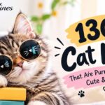 130 Cat Puns That Are Purr-fectly Funny, Cute & Clever 😸