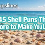 145 Shell Puns That Are Shore to Make You Laugh 🐚